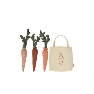 Carrots in Shopping Bag