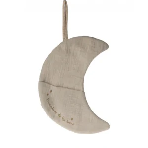 Moon, L'aventure de la lune