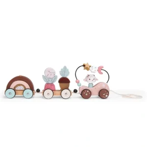 Pull Along Activity Train - After the Rain