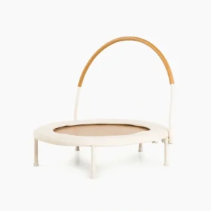 Trampoline (March Pre-Order)