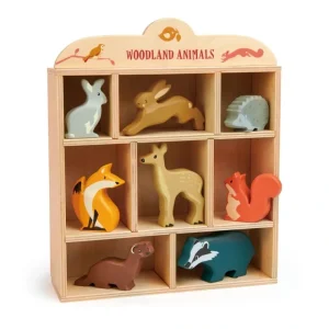 Woodland Animals